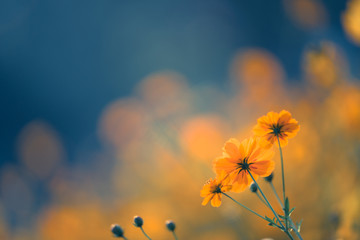 南京有哪些名人