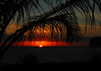 为什么很多人喜欢福原爱？