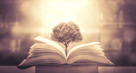 国产车大换标失败成功者是谁？