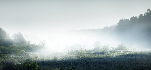 荣放和国产车比