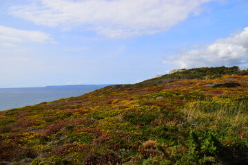 年终总决赛女双冠军最多的是谁