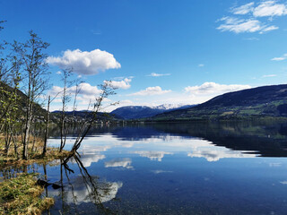 年终总决赛女双冠军最多的是谁