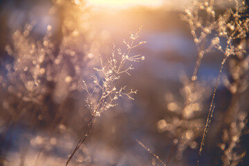 国产车离高端有多远