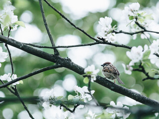 国产车大换标失败成功者是谁？