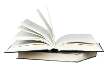 年终总决赛女双冠军最多的是谁