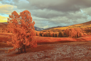 2008年奥运会乒乓球的冠军是谁？