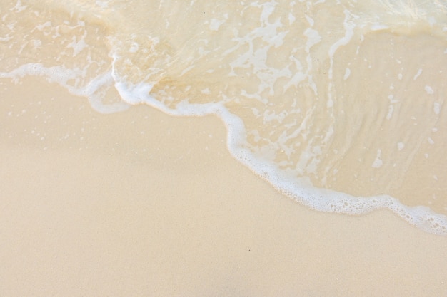 小学体育比赛活动方案