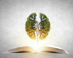 国产车离高端有多远