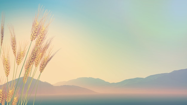 荣放和国产车比