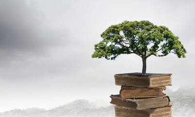 如何解决摩托车冬天不好打火的问题？