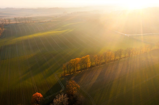 天津乒乓球拍维修店地址