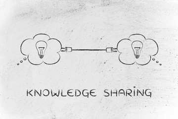 国产车大换标失败成功者是谁？